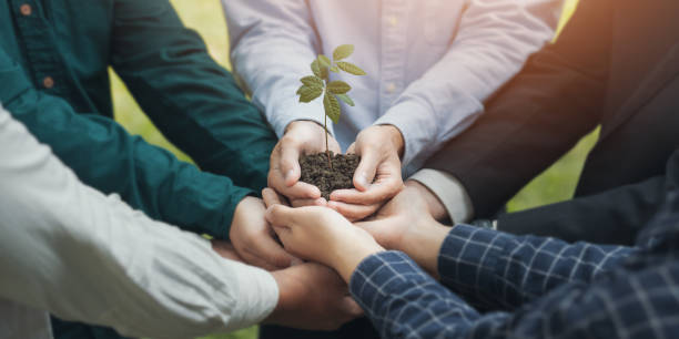 istock Teamwork business people hands together to protect forest conservation or reforestation. world environment day growth environment and reduce global warming save the earth ecological agriculture concept 1460475374