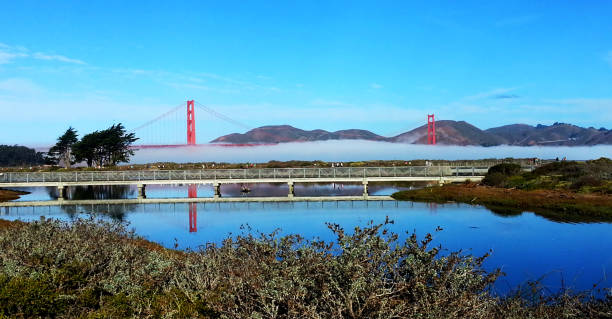 istock Golden Gate Bridge with Fog Bank 1460481694