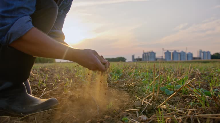 SLO MO Unrecognizable farmer examines soil in the middle of the field