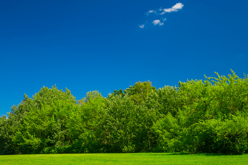 countryside or rural landscape with grass and sky with clouds