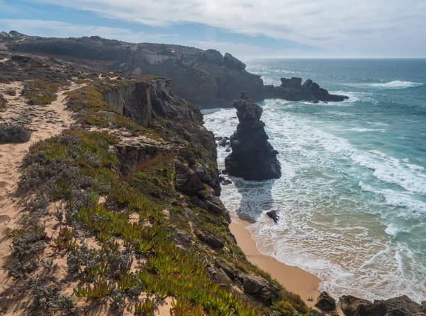 istock View of sharp cliffs and small sand beach with ocean waves, rocks, stones and green vegetation at wild Rota Vicentina coast near Vila Nova de Milfontes, Portugal. 1460487193