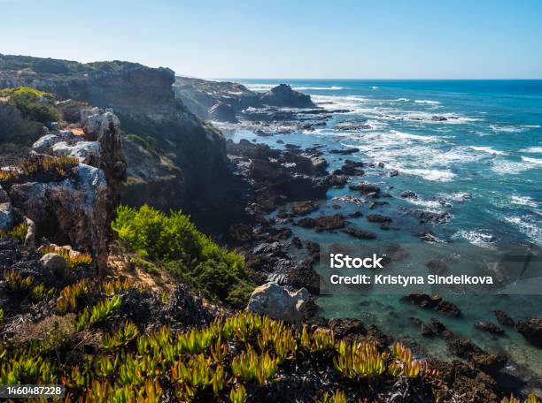 View Of Wild Rota Vicentina Coast With Ocean Waves Sharp Rock And Green And Red Leaves Of Sour Fig Flower Carpobrotus Edulis Near Vila Nova De Milfontes Portugal Sunny Day Blue Sky Stock Photo - Download Image Now