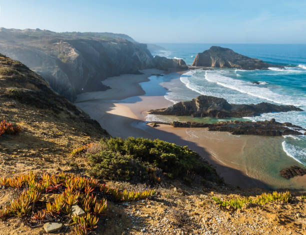 View of empty Praia da Zambujeira do Mar beach with ocean waves, cliffs and stones, wet golden sand and green vegetation at wild Rota Vicentina coast, Odemira, Portugal