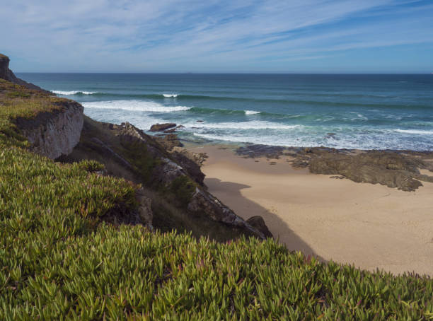 istock View of empty small sand beach with ocean waves and sharp rock and cllifs at wild Rota Vicentina coast near Porto Covo, Portugal. 1460487834