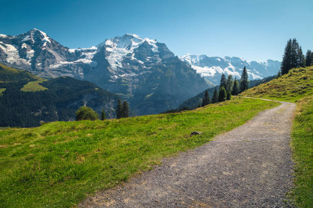istock Hiking trail on the slope and high mountains in background 1460488989