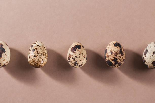 istock A line with shadows from quail eggs on beige minimal background. 1460489088