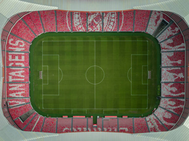 estadio do sport lisboa e benfica. estadio multiusos ubicado en lisboa, portugal. punto de vista del dron. estadio de fútbol - flag of the emirates fotografías e imágenes de stock