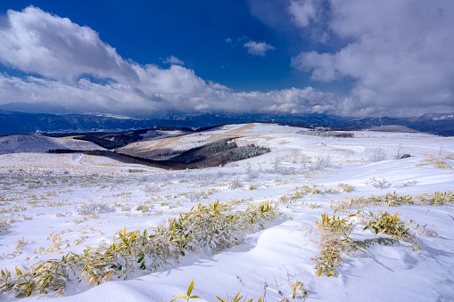This is a winter landscape of Kurumayama highland in Nagano prefecture, Japan.\nKurumayama highland is well known as a tourist destination in Japan, many people come to see beautiful scenery like this.\nEvery season is popular.