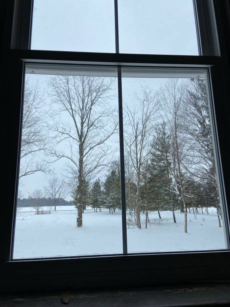istock Looking out the window at a snowy scene 1460493067