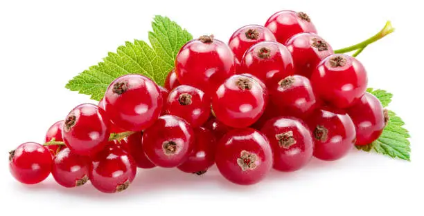 Ripe redcurrant berries on white background. Close-up.