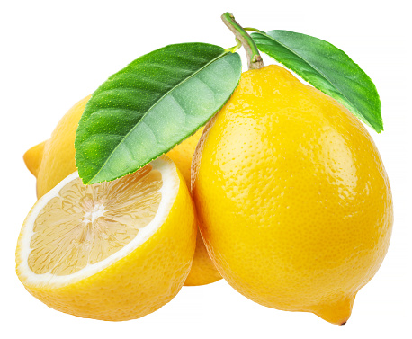 Bunch of fresh ripe lemons on a lemon tree branch in lemon orchard.