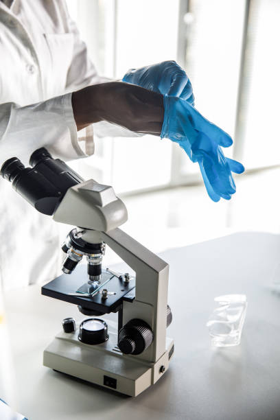 istock Cut out shot of scienitst putting on disposable protective gloves before working at the laboratory 1460498890