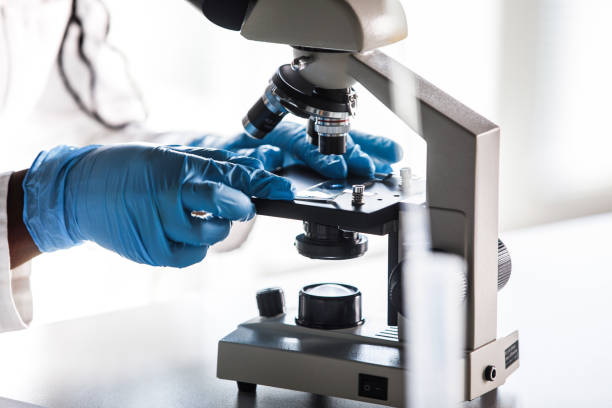 istock Scientist putting a sample under the microscope for further analisis when doing research 1460498897