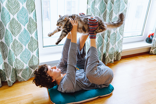teenager girl does yoga with a domestic Maine Coon cat, relaxes, stretches, shakes press, holding cat on legs up