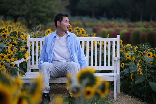 handsome smile Asian young man sit on bench at yellow sunflower garden