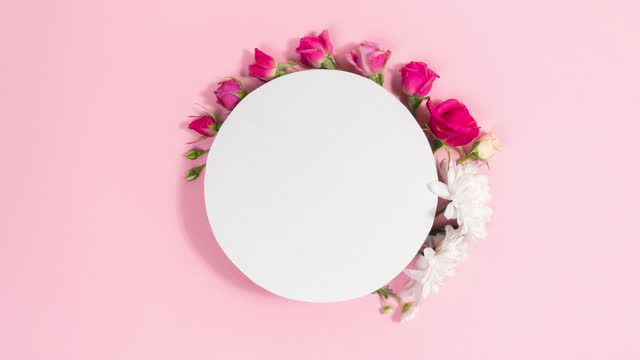 White circle background is decorated natural flowers buds. Template for text or design. Pink background.
