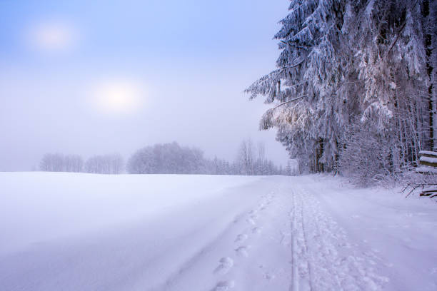 istock Walking in a Winterwonderland 1460508622