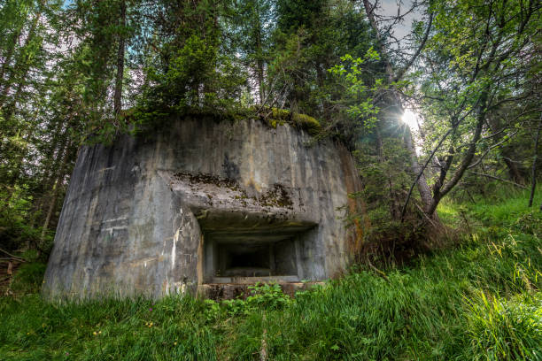 istock Abandoned, destoyed concrete bunker with embrasure in summer forest. 1460508680