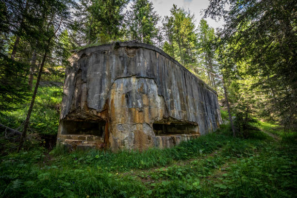 istock Abandoned, destoyed concrete bunker with embrasure in summer forest. 1460508690