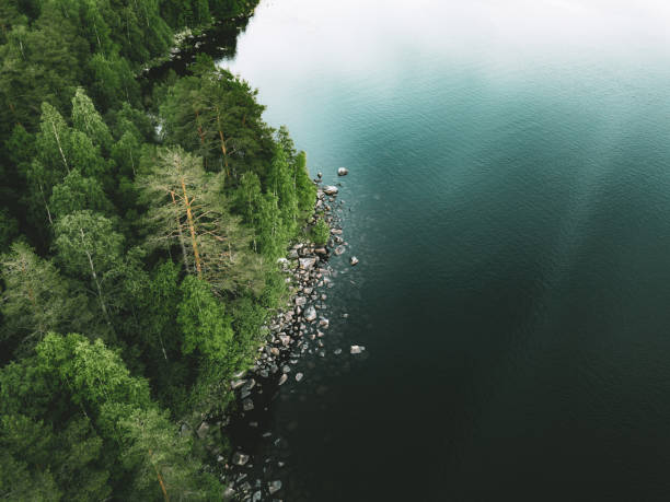 Aerial view of blue lake stone shore and and green woods with pine trees in Finland. stock photo
