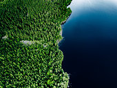 Aerial view of blue lake stone shore and and green woods with pine trees in Finland.