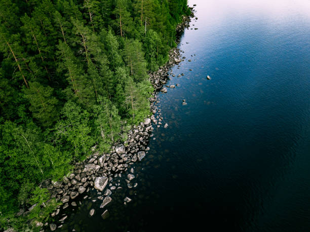 Aerial view of blue lake stone shore and and green woods with pine trees in Finland. stock photo