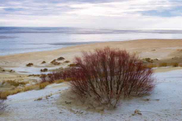 Sand Dunes by the sea