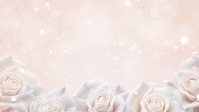 Falling Rose Petals, Valentine's Day  Background
