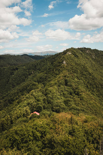 istock Beautiful view in Slovakia 1460514301