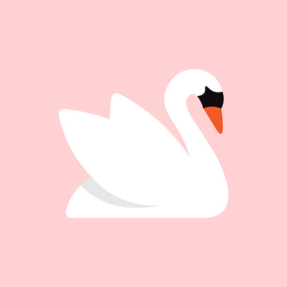 White swan, isolated on pink background, vector illustration.