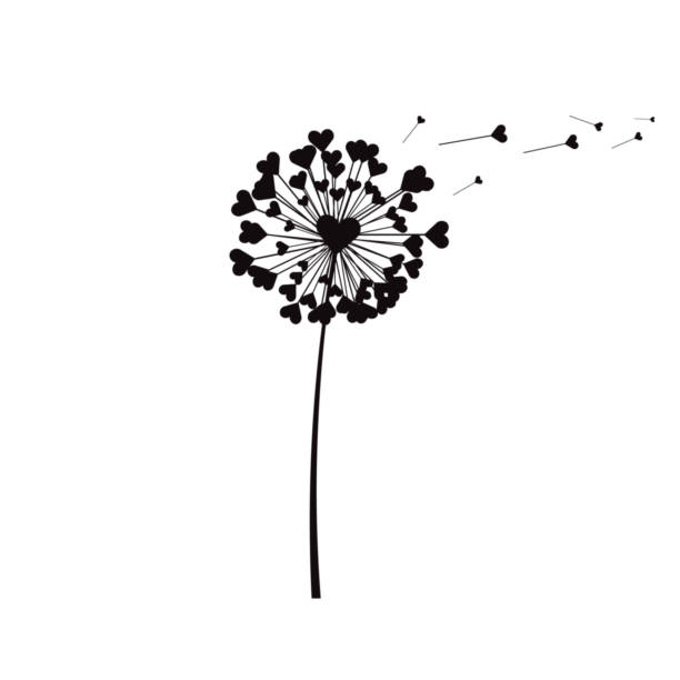 stockillustraties, clipart, cartoons en iconen met dandelion love flower, with flying seeds heart shape, vector illustration. - dandelion white background