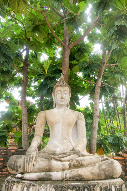 istock Buddha statue in ancient Buddhist temple in Ayutthaya 1460516512