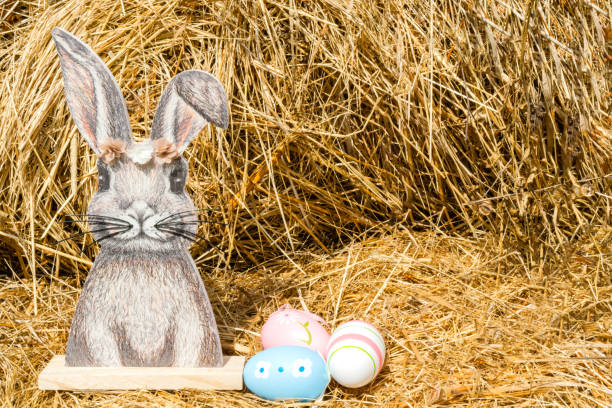 colorful easter eggs in a nest and funny bunny ears in the background