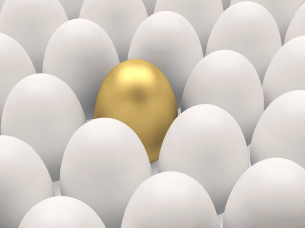 istock One golden egg in a tray of white eggs. 1460518236