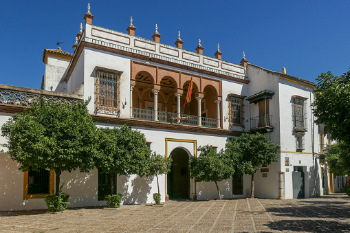 The Casa de Pilatos was built in the 16th century by order of Don Pedro Enriquez and later by his son Fadrique Enriques de Ribera. This is one of the best-preserved buildings from the 16th century. The \