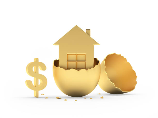 istock Golden house in a broken egg with a dollar sign 1460519234