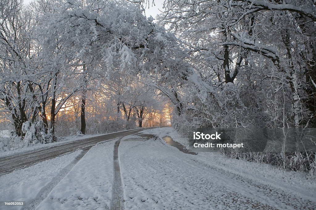 Verschneite road - Lizenzfrei Baum Stock-Foto