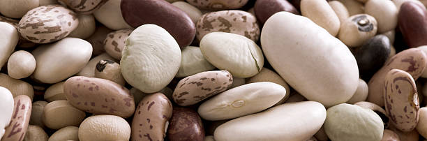 Ten Bean Mix stock photo