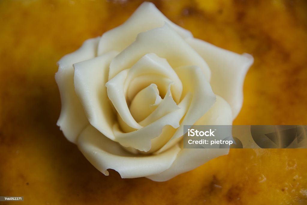 Rosa bianca di glassa - Royalty-free Ao Ar Livre Foto de stock