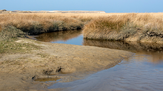 The Slufter, a nature reserve on Texel island in the Netherlands.