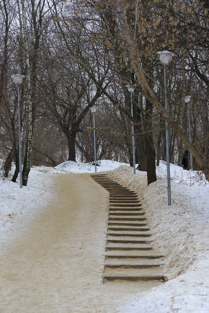 istock the path in the winter park is sprinkled with sand 1460523519