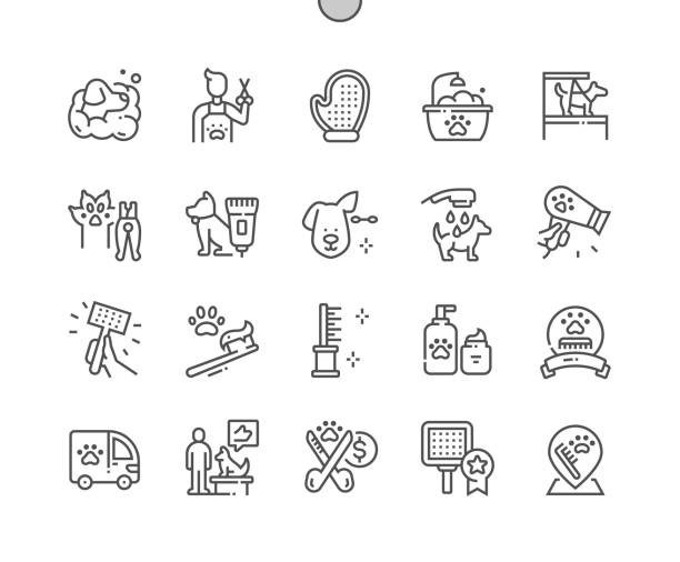 ilustrações de stock, clip art, desenhos animados e ícones de pet grooming. clean dog ear. bathing. pets nail clipper. pets care. pixel perfect vector thin line icons. simple minimal pictogram - canino dente