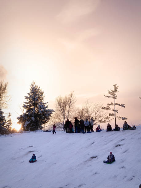 малден парк - зимняя сцена - катание на санях - malden стоковые фото и изображения