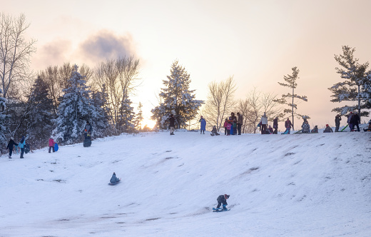 Windsor, Ontario, Canada - January 26, 2023:  Malden Park is a public park in Windsor, Ontario, Canada.   This is a winter scene from the park.  People are tobogganing down the hill as the sun sets.
