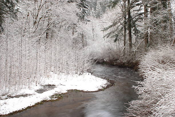Invierno Creek - foto de stock