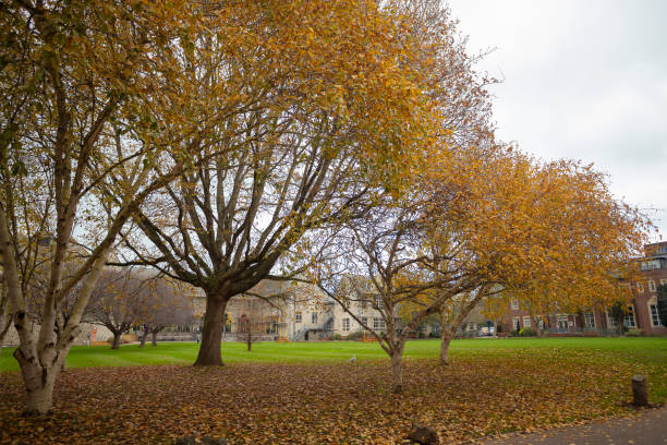 istock Autumn at Exeter Quay Devon England UK Europe 1460526149