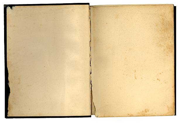 old antique 1888 book volume