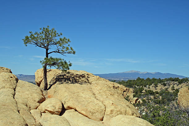 istock Mt. Taylor and El Malpais 146052700
