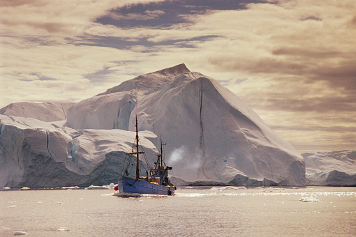 An old style trawler style fishing boat sailing past an iceberg