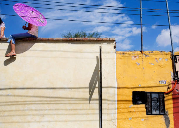 istock Hanging out on a roof top 1460529375